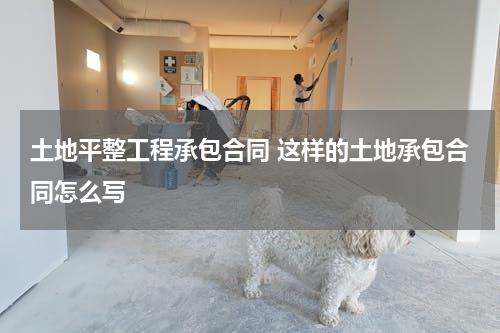 土地平整工程承包合同 这样的土地承包合同怎么写