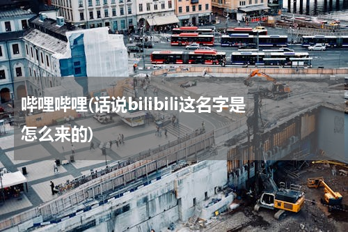 哔哩哔哩(话说bilibili这名字是怎么来的)