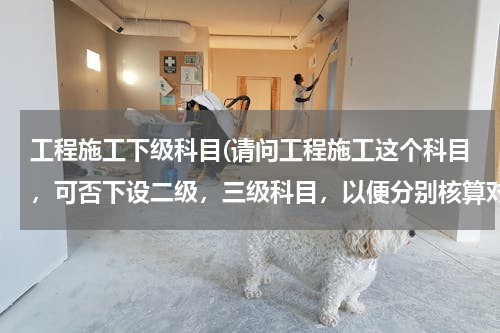 工程施工下级科目(请问工程施工这个科目，可否下设二级，三级科目，以便分别核算对各个工程项目及其成本费用，什么财务软件)