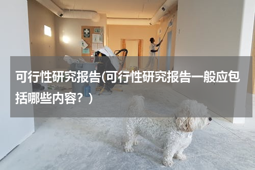 可行性研究报告(可行性研究报告一般应包括哪些内容？)