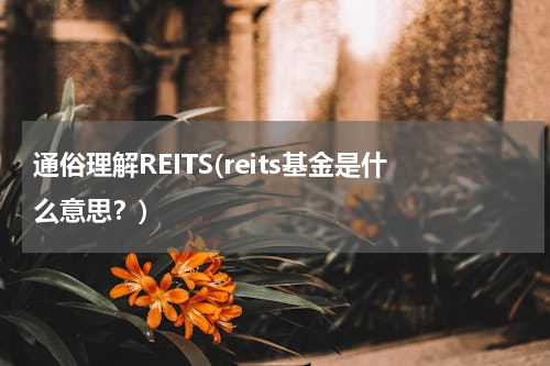 通俗理解REITS(reits基金是什么意思？)