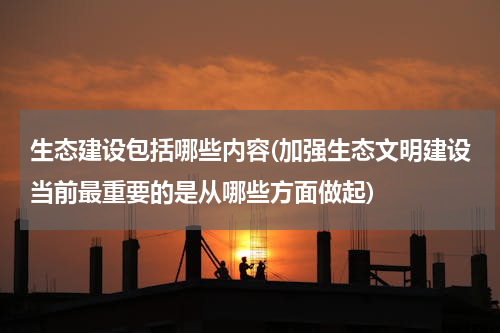 生态建设包括哪些内容(加强生态文明建设当前最重要的是从哪些方面做起)