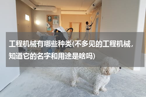 工程机械有哪些种类(不多见的工程机械，知道它的名字和用途是啥吗)