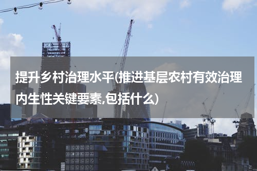 提升乡村治理水平(推进基层农村有效治理内生性关键要素,包括什么)
