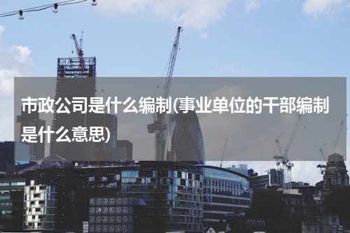 市政公司是什么编制(事业单位的干部编制是什么意思)