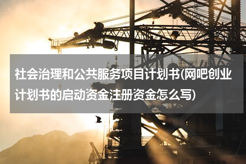 社会治理和公共服务项目计划书(网吧创业计划书的启动资金注册资金怎么写)