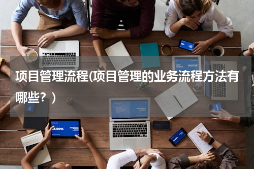 项目管理流程(项目管理的业务流程方法有哪些？)
