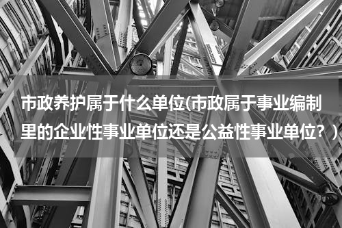 市政养护属于什么单位(市政属于事业编制里的企业性事业单位还是公益性事业单位？)