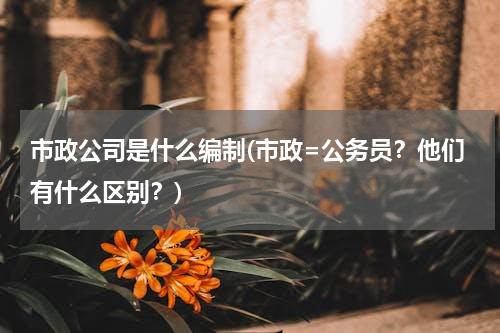 市政公司是什么编制(市政=公务员？他们有什么区别？)