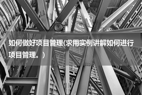 如何做好项目管理(求用实例讲解如何进行项目管理。)