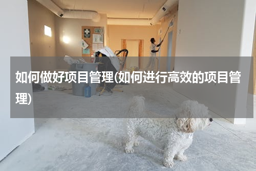 如何做好项目管理(如何进行高效的项目管理)