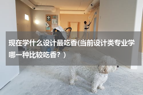 现在学什么设计最吃香(当前设计类专业学哪一种比较吃香？)