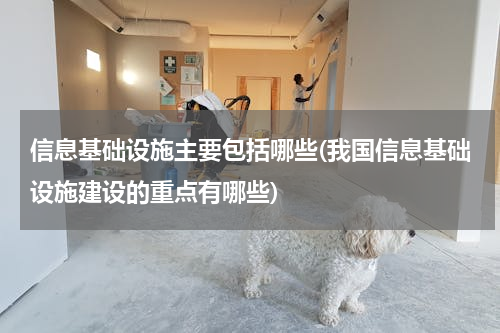 信息基础设施主要包括哪些(我国信息基础设施建设的重点有哪些)