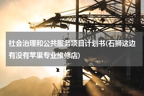 社会治理和公共服务项目计划书(石狮这边有没有苹果专业维修店)