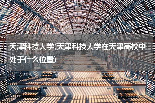 天津科技大学(天津科技大学在天津高校中处于什么位置)