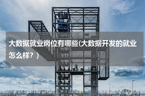 大数据就业岗位有哪些(大数据开发的就业怎么样？)