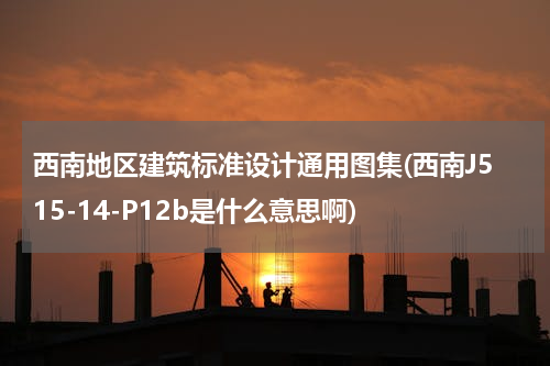 西南地区建筑标准设计通用图集(西南J515-14-P12b是什么意思啊)