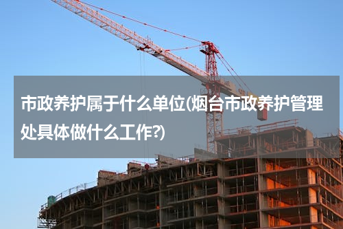 市政养护属于什么单位(烟台市政养护管理处具体做什么工作?)