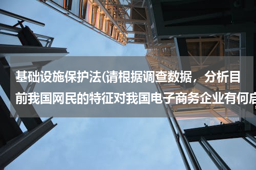 基础设施保护法(请根据调查数据，分析目前我国网民的特征对我国电子商务企业有何启示)