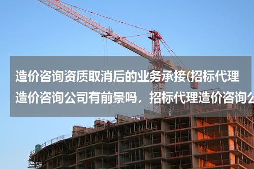 造价咨询资质取消后的业务承接(招标代理造价咨询公司有前景吗，招标代理造价咨询公司)