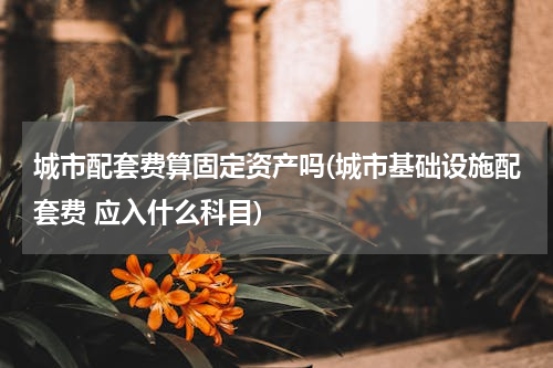 城市配套费算固定资产吗(城市基础设施配套费 应入什么科目)