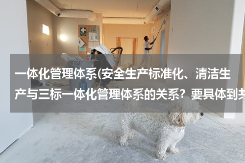一体化管理体系(安全生产标准化、清洁生产与三标一体化管理体系的关系？要具体到共同点、不同点，联系在哪里)