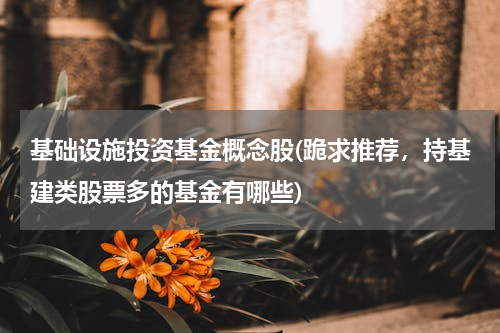 基础设施投资基金概念股(跪求推荐，持基建类股票多的基金有哪些)