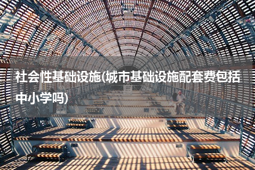 社会性基础设施(城市基础设施配套费包括中小学吗)