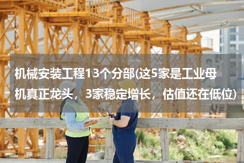 机械安装工程13个分部(这5家是工业母机真正龙头，3家稳定增长，估值还在低位)