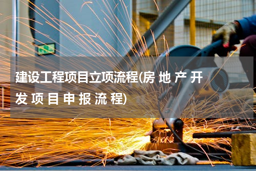 建设工程项目立项流程(房 地 产 开 发 项 目 申 报 流 程)