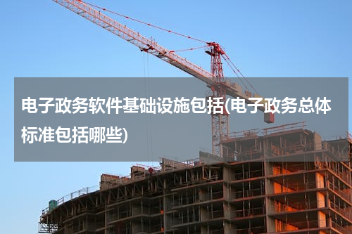 电子政务软件基础设施包括(电子政务总体标准包括哪些)