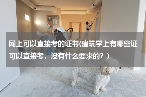 网上可以直接考的证书(建筑学上有哪些证可以直接考，没有什么要求的？)
