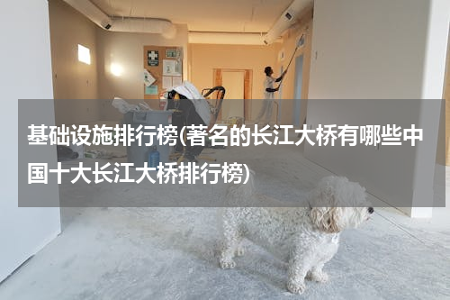 基础设施排行榜(著名的长江大桥有哪些中国十大长江大桥排行榜)